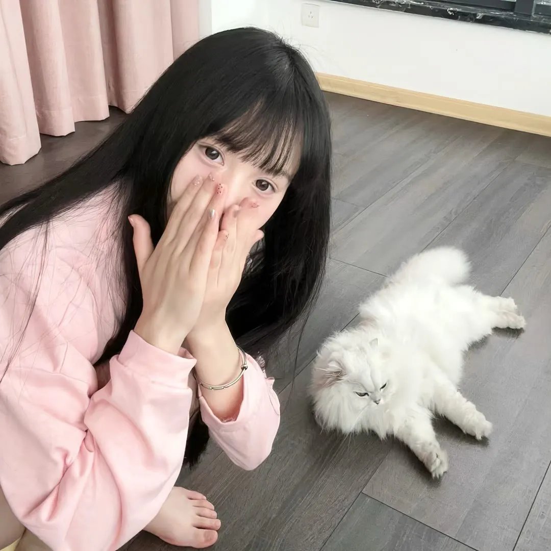动画动漫